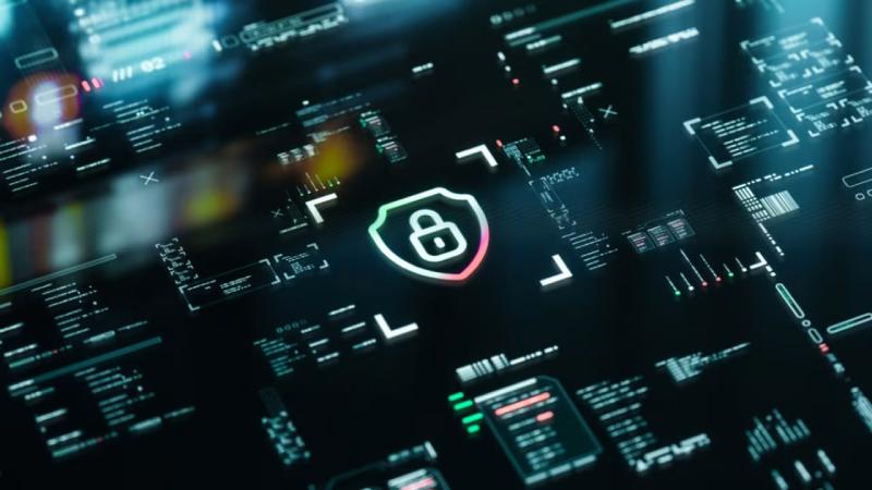 临泽县软件开发公司